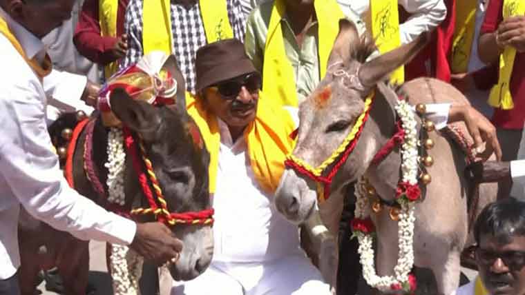 بھارت ، ویلنٹائن ڈے پر گدھوں کی شادی کروا دی گئی