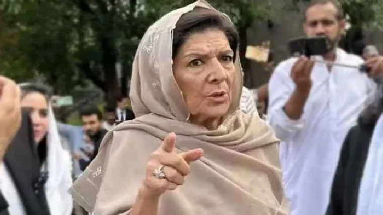 اپوزیشن اتحاد:دھرنا اور احتجاج جاری  رکھنے  کا فیصلہ:کسی حکومتی  ڈاکٹر پر یقین نہیں:علیمہ