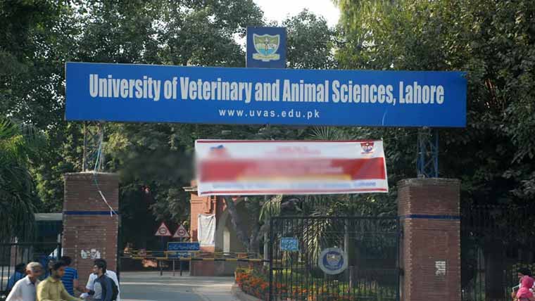  ویٹرنری یونیورسٹی میں ورکشاپ کا انعقاد 