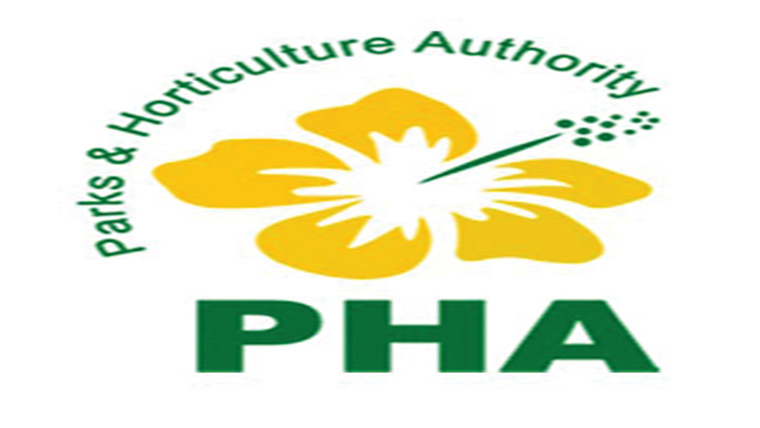 استقبال رمضان ، شاہراہیں سجادی گئیں