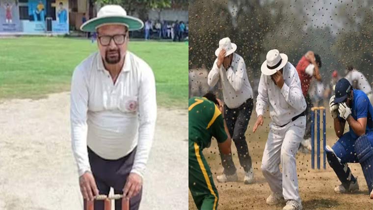 بھارت، دوران میچ شہد کی مکھیوں کا حملہ ، امپائر کی موت 