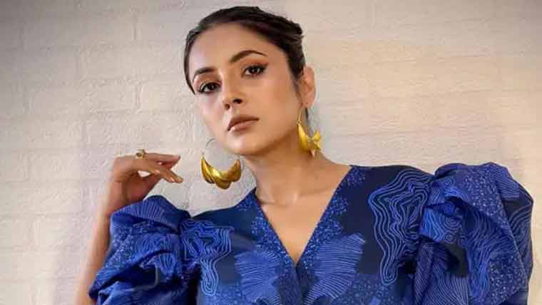 شادی کا ارادہ نہیں، صرف پیسے جمع کرنے پر توجہ ہے :شہناز گل