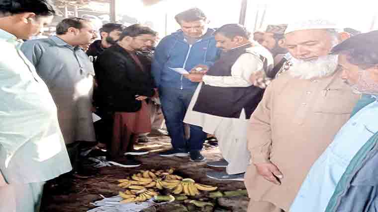 ایڈیشنل ڈپٹی کمشنر ہیڈ کوارٹر کا سبزی و فروٹ منڈی کا دورہ 