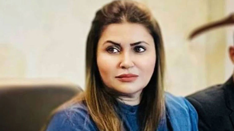 بعض وفاقی وزراافراتفری  کو ہوا دے رہے ، پیپلزپارٹی 