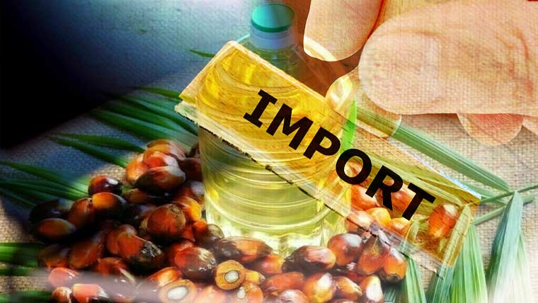 پام آئل درآمدات کے تمام سابقہ ریکارڈ ٹوٹ گئے