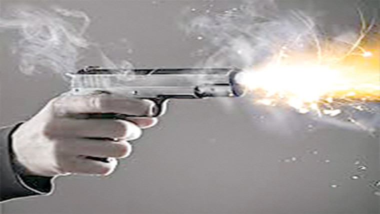  غیر قانونی اسلحہ برآمد