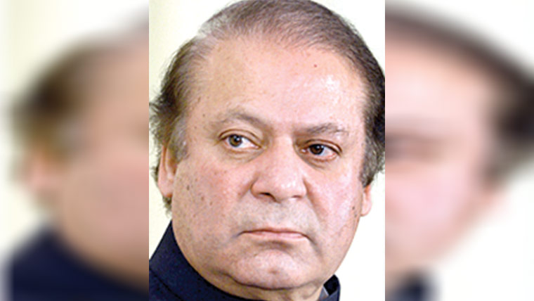  پردادا بن گئے