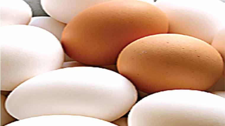 236روپے درجن پرمستحکم 