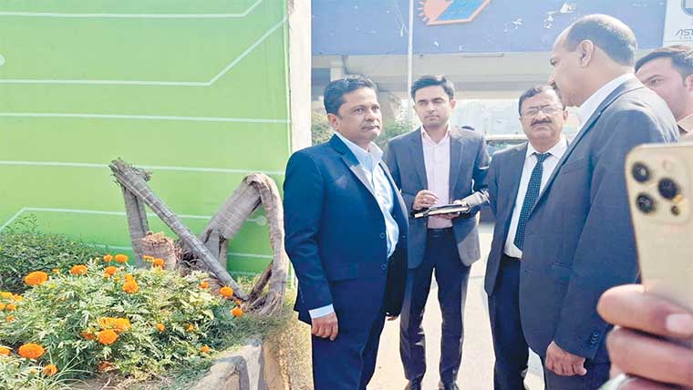 شارع فیصل پر کورنوکورپس ختم کرکے نئے درخت لگانے کی ہدایت 