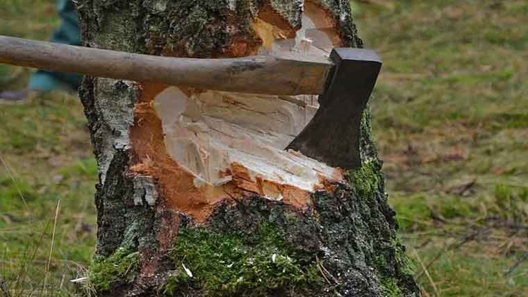 نوشہرہ، درختوں کی کٹائی پر بھائی نے  بھائی پر کار چڑھا دی، موقع پر جاں بحق