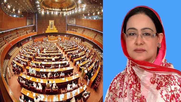 قائمہ کمیٹی:حج معاونین پر بریفنگ، زیارات آرگنائزر کی لسٹ طلب