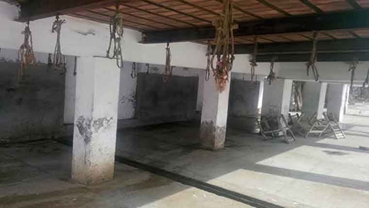 صرف 2سرکاری مذبحہ خانے فعال، جانور نجی سلاٹر ہائوسز پر ذبح 