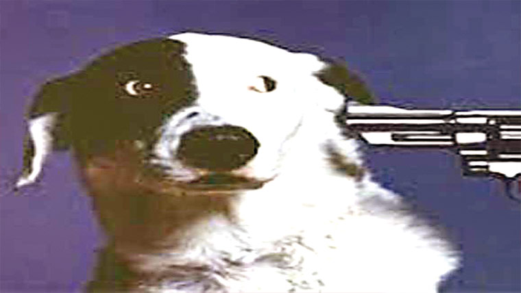 بوڑھی خاتو ن پر کتا چھوڑ دیا،شدید زخمی 