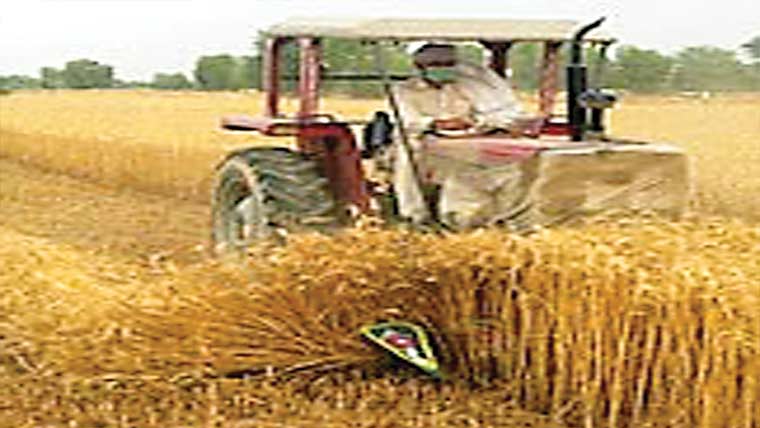  زمین پر قبضے کی کوشش، فصل تباہ