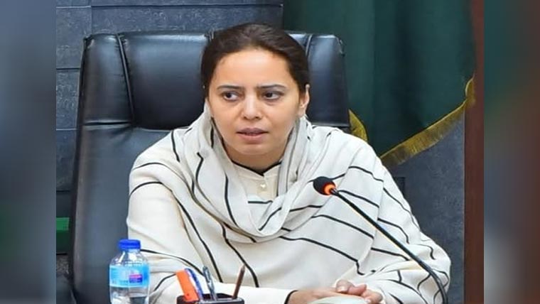 لاہور میں محفوظ بسنت ، 100 سیفٹی کیمپس لگانے کا فیصلہ