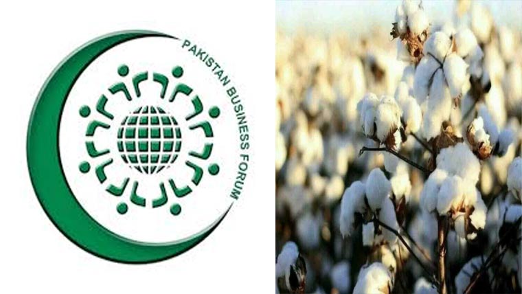 کپاس کی سالانہ نمو میں18 فیصد اضافہ،مارکیٹ میں43.5ملین گانٹھوں کی آمد 