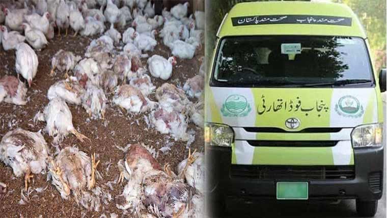 فو ڈسیفٹی ٹیم نے 1700کلو مردہ مرغیاں تلف کردیں