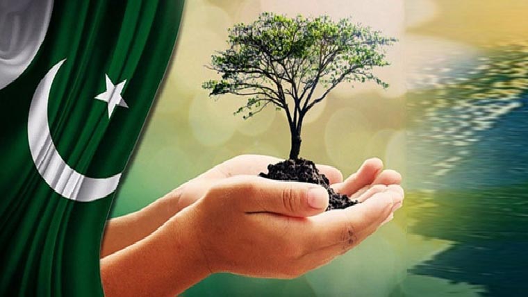 گرین پاکستان:سوا دو ارب بجٹ میں سے 20فیصد خرچ 