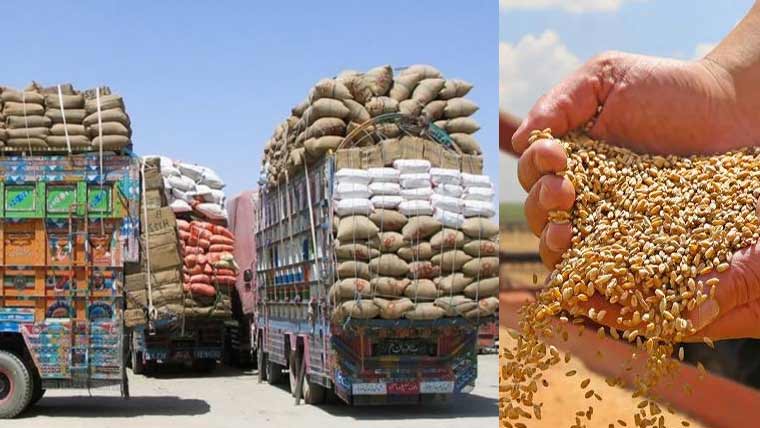 پنجاب سے گندم کی نقل وحمل پرپابندی مرکز میں اٹھانے کا مطالبہ