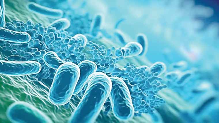 کچھ وائرس صحت کیلئے فائدہ مند بھی ہوسکتے ہیں:تحقیق