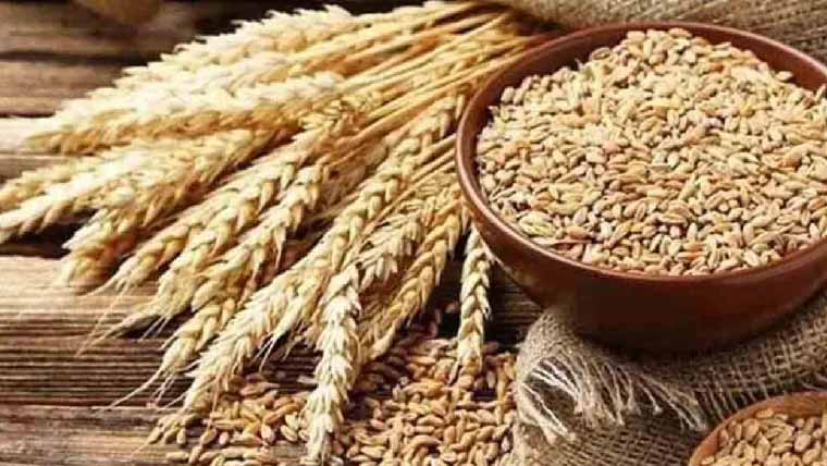 پنجاب :گندم کے ذخائر کی دیکھ بھال  کیلئے قرض پر مارک اپ کی منظوری 