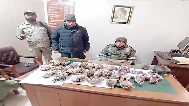  غیر قانونی شکار کی گئیں 12مرغا بیاں اور24تیتر برآمد