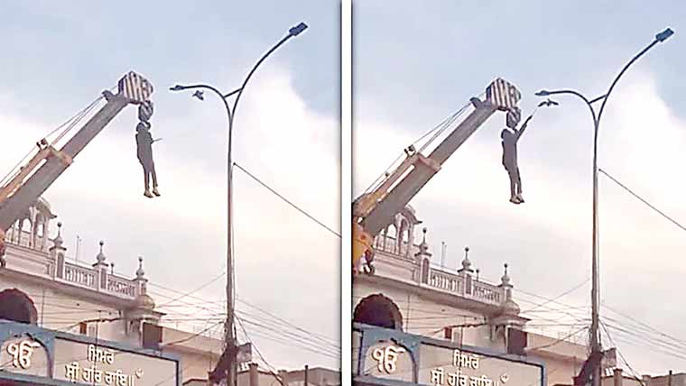 کرین سے لٹک کر پرندے کی جان بچانے والا ہیرو بن گیا