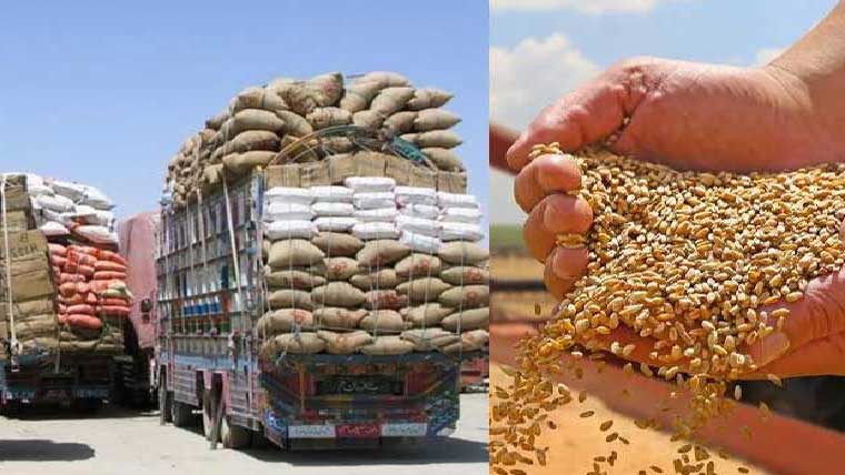 گجرات:غیر قانونی گندم کی نقل و  حمل پر کارروائی، 2گاڑیاں ضبط