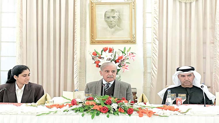 خسارے والے بجلی فیڈرز سولر پر منتقل کردیئے جائیں:شہباز شریف