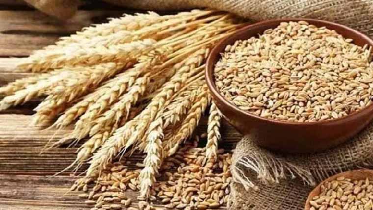 پنجاب :گندم پالیسی کی منظوری قیمت35سوروپے من مقرر