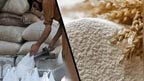 انتظامیہ خاموش ، آٹا و گندم کی قیمتیں بے قابو