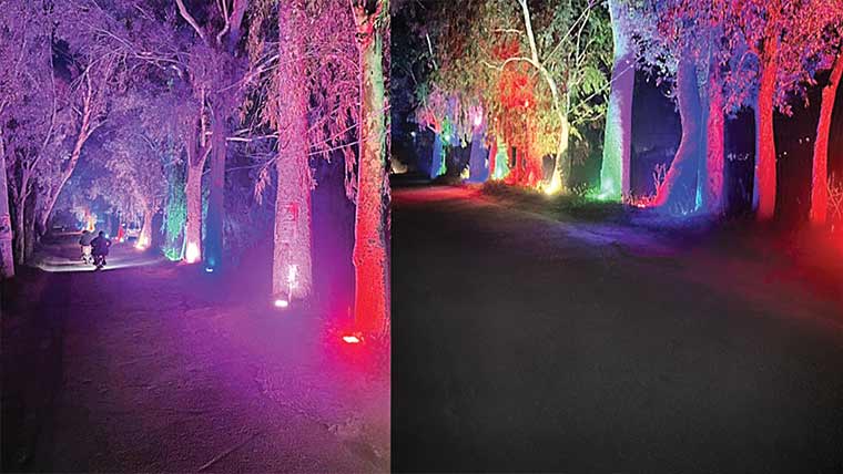 گجرات :کینال روڈ پر درختوں  پر خوبصورت لائٹس نصب