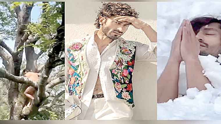  بالی ووڈ اداکار کی قابل اعتراض حالت میں درخت پر چڑھنے کی ویڈیو 