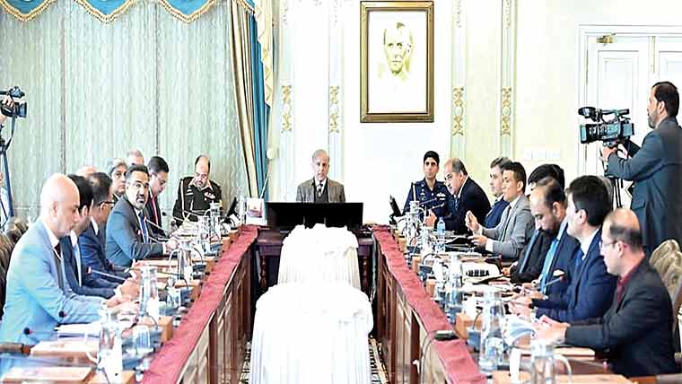 خلیجی ممالک میں پاکستانی افرادی قوت کی کھپت کیلئے اقدامات میں تیزی لائیں : شہبار شریف 