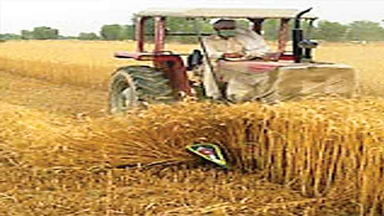  زمین پر قبضے کی کوشش، فصل تباہ