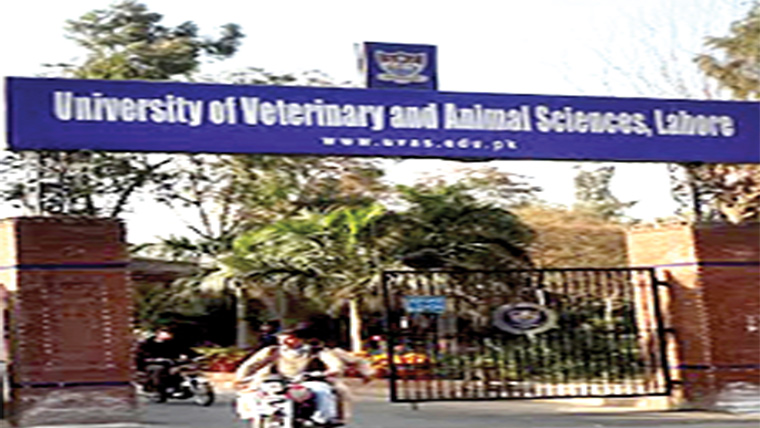  انٹر پرینیوریل گالاکاانعقاد 