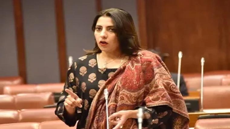 این سی سی آئی اے میں کرپشن، سینیٹ قائمہ کمیٹی کا اظہار تشویش