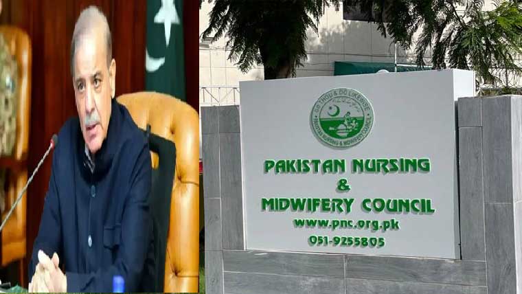  تین ماہ بعد نرسنگ اینڈ مڈوائفری کونسل ممبران کا تقرر 