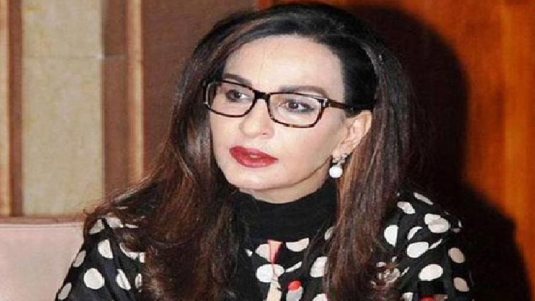 درخت کٹائی:سینیٹ کمیٹی کا نوٹس ، چیئرمین سی ڈی اے طلب