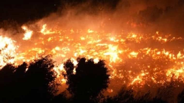 ایبٹ آباد:ٹھنڈیانی کے جنگلات میں آگ بھڑک اٹھی، ریسکیو آپریشن جاری