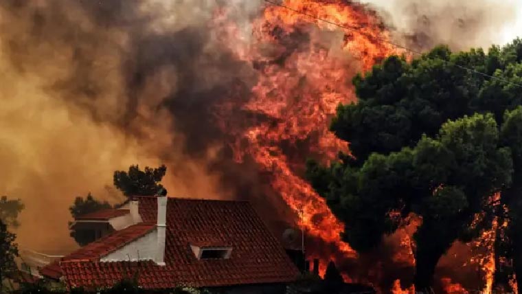  تلونڈی:دیو سیال کے جنگلات میں  آتشزدگی ، 2گھنٹے بعدقابوپالیاگیا