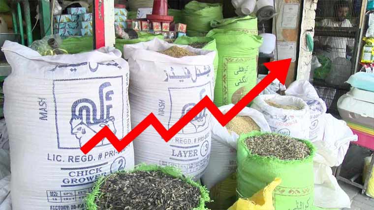  بارڈر بندش کا بہانہ، پرندوں کی خوراک مزید مہنگی 