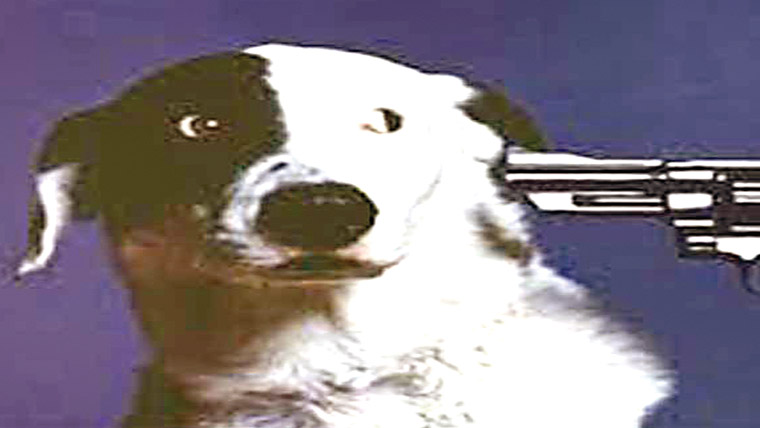 لڑکے کو دوسری بارکاٹ لیا 