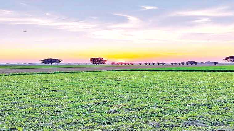 زرعی رقبے پر قبضے کی کوشش ناکام 