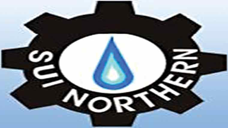 ٹاسک فورس کی کارروائی 