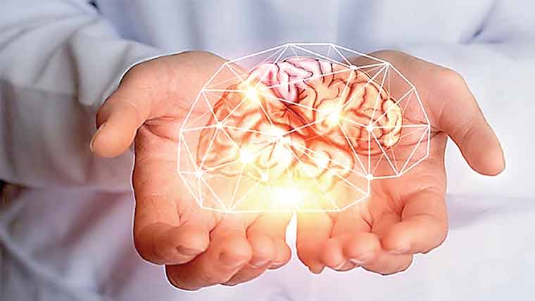 درمیانی عمر میں دماغ کو جوان رکھنے کی آسان عادت 