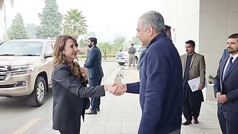 وزیر داخلہ کی امریکی سفیر سے ملاقات سکیورٹی تعاون بڑھانے پر اتفاق