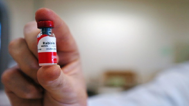  آوارہ کتوں کے کاٹنے کی ویکسین  فراہمی کیلئے درخواست دائر 