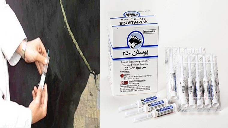 دودھ بڑھانے والے ممنوعہ انجکشنز کی بلیک میں فروخت 