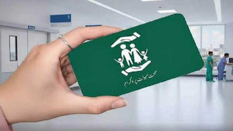 سندھ میں صحت سہولت پروگرام کیلئے 48ارب کا پی سی ون منظور 